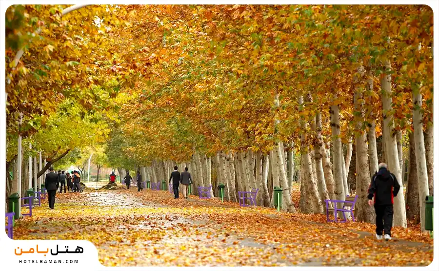 پاییز در مشهد