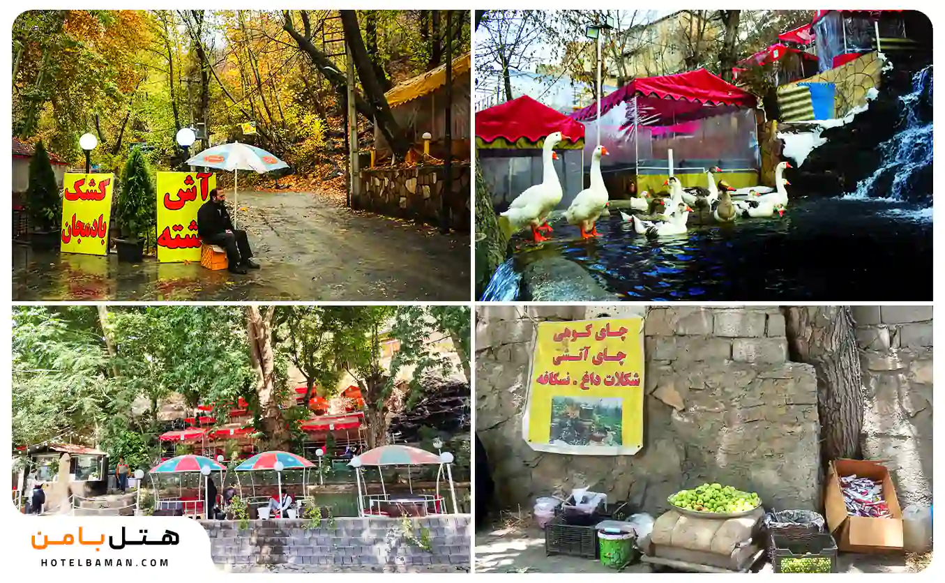 رستوران ها