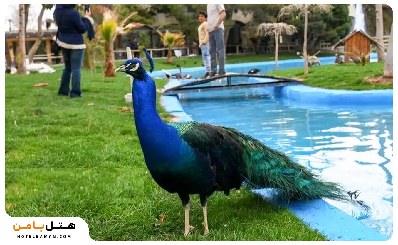 عکس باغ پرندگان اصفهان