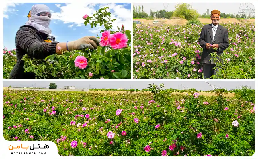 روستای فرخد مشهد؛ قمصر خراسان