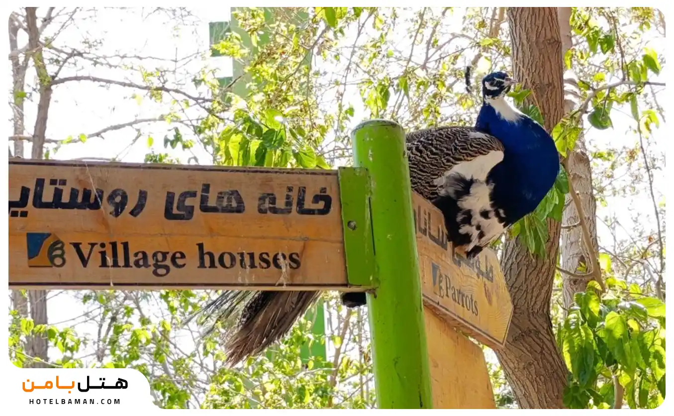 عکس باغ پرندگان اصفهان