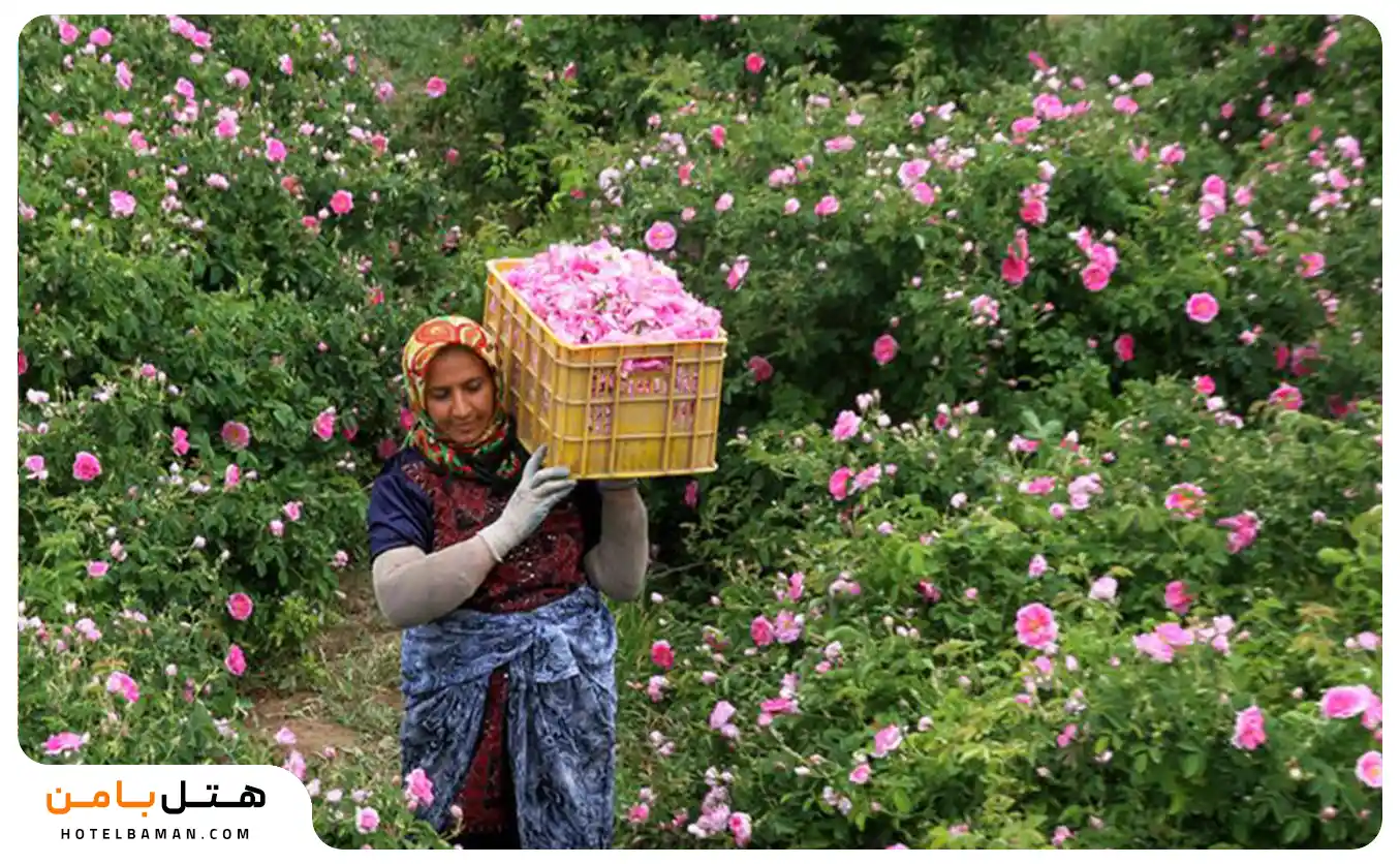 عکس روستای فرخد مشهد