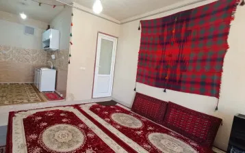 دیدگاه