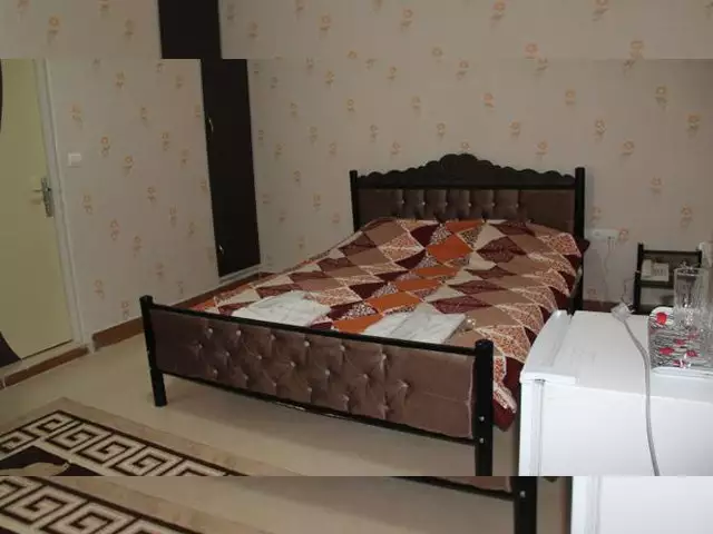 هالیس