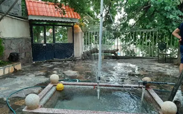 بام زشک