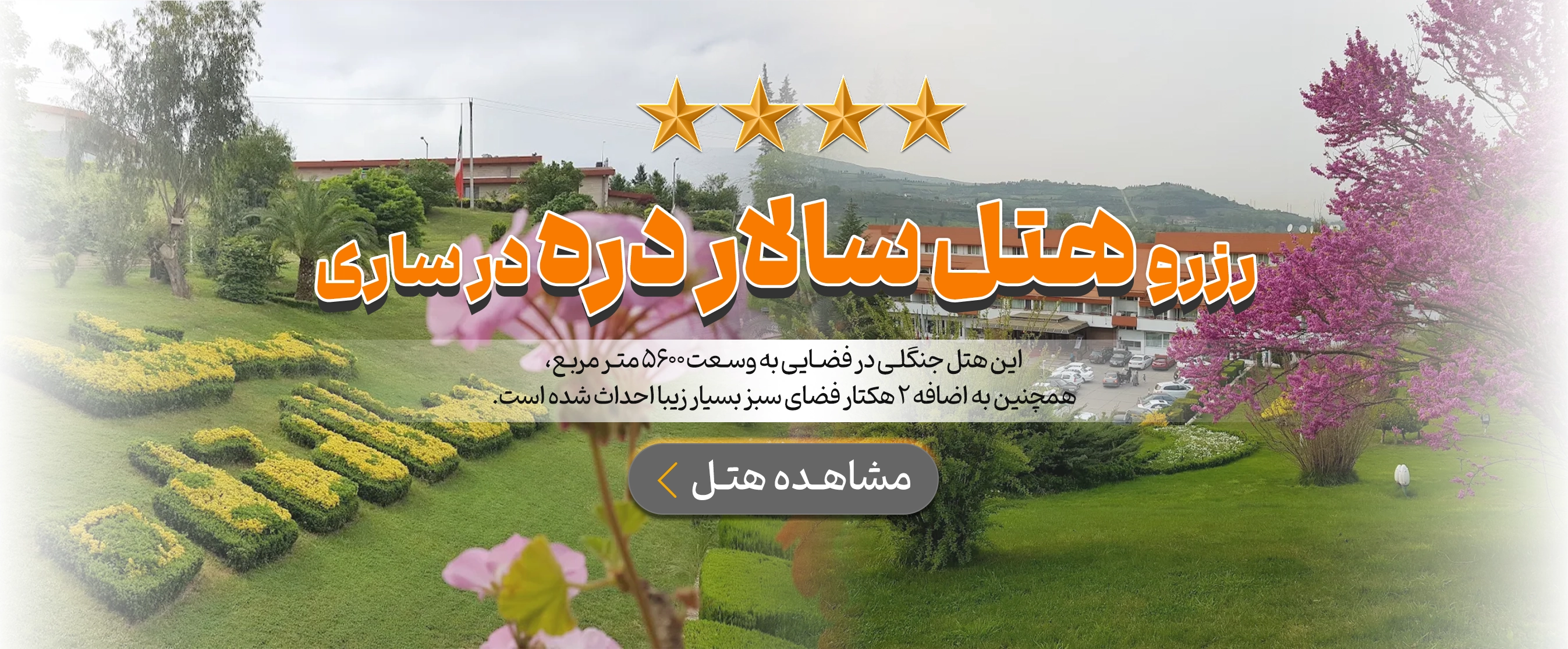ساری