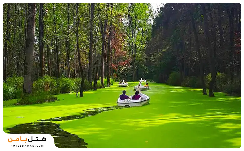 تصویر پارک جنگلی سراوان رشت
