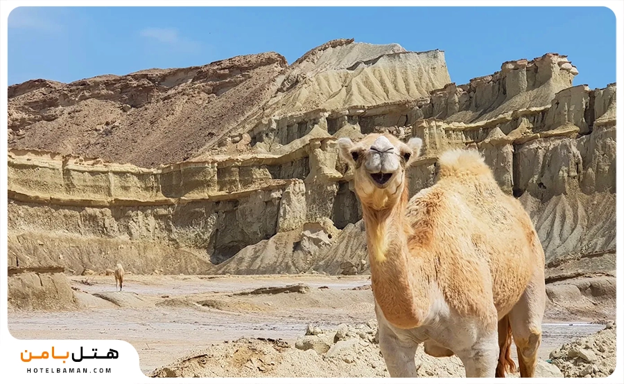 تصویر تنگه چاهکوه قشم