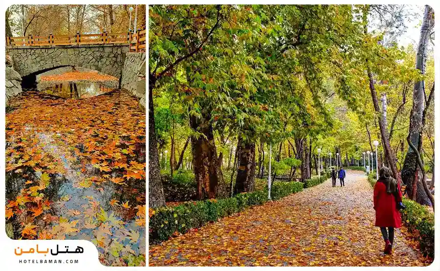 پاییز باغ وکیل آباد