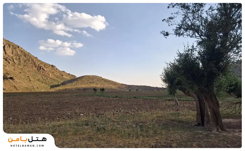تصویر دشت هویج لواسان تهران