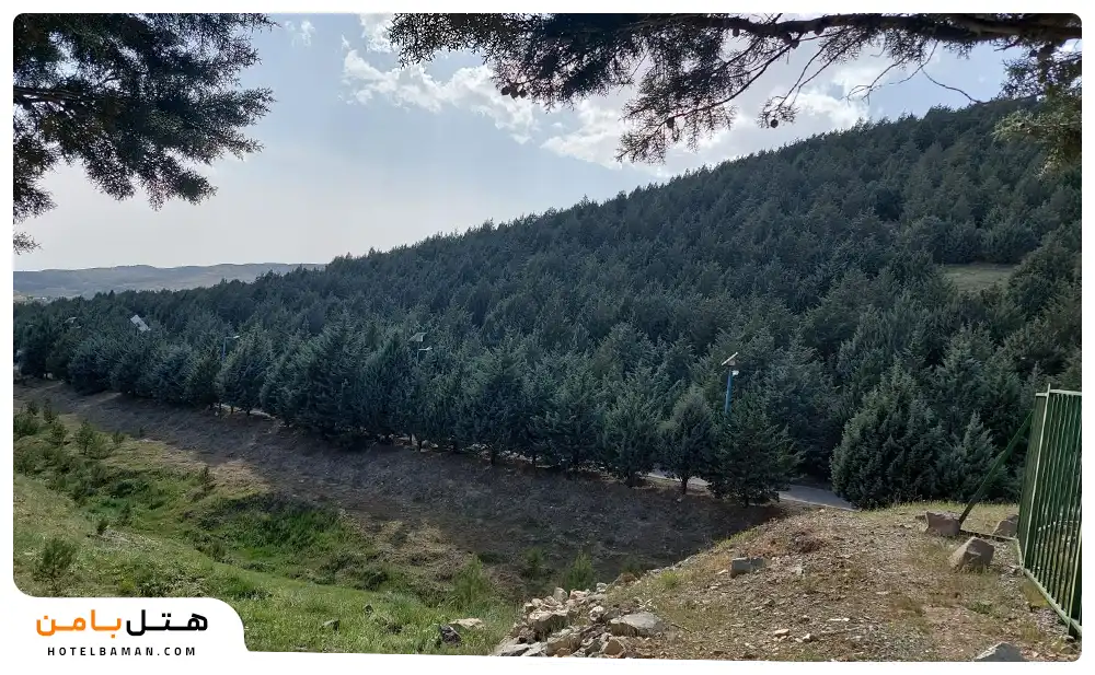 تصویر پارک جنگلی تلو لواسان تهران