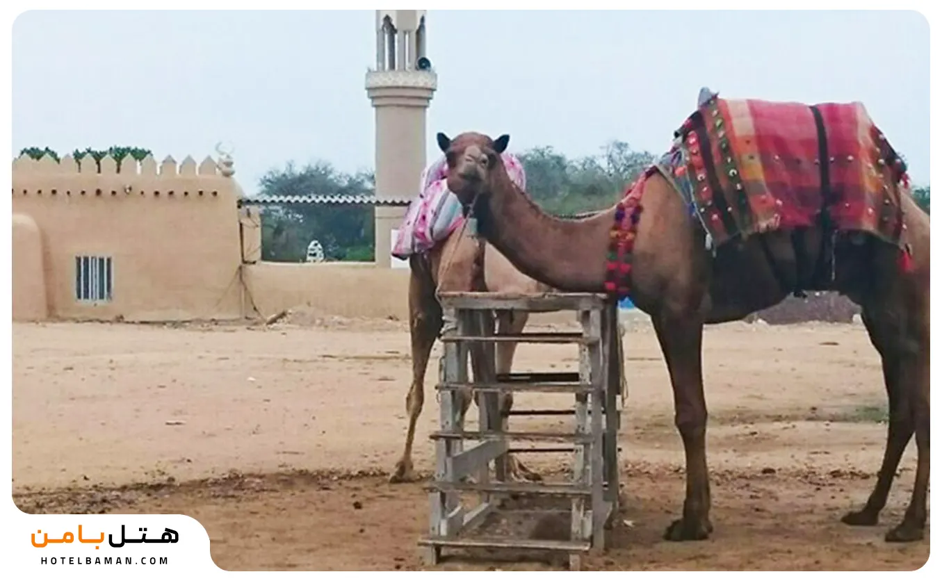روستا